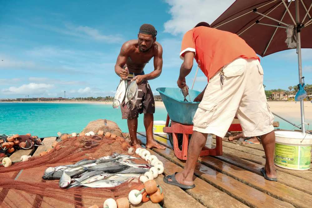Pescadores locais a preparar a pesca do dia na praia de Santa Maria